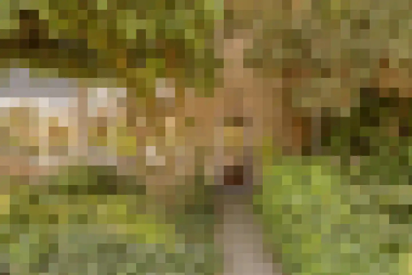 Lodesteijnstraat 25 Wassenaar thumbnail 5