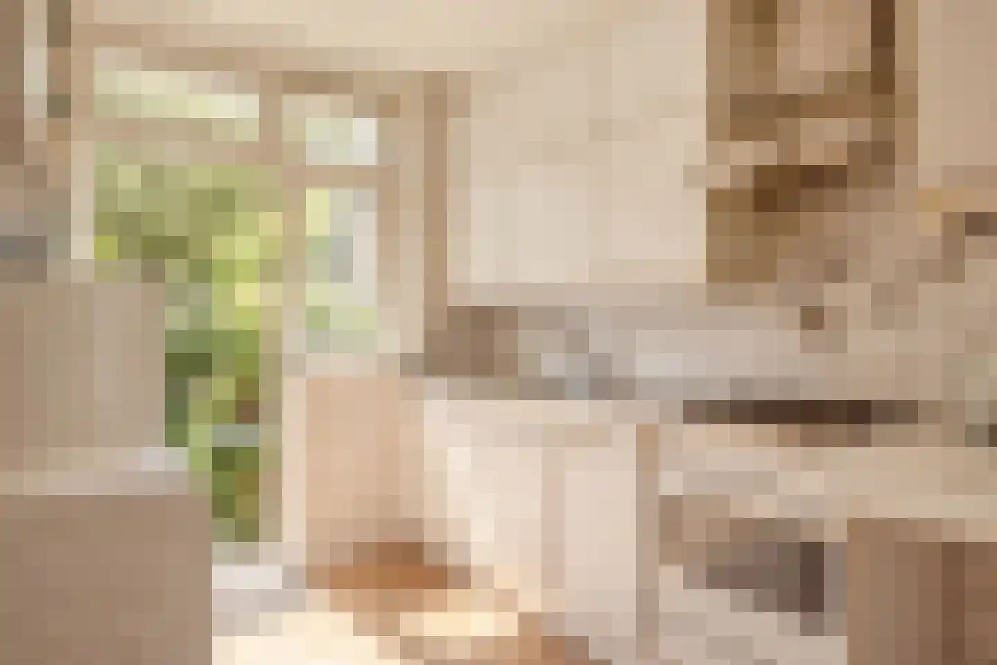 Lodesteijnstraat 25 Wassenaar thumbnail 9