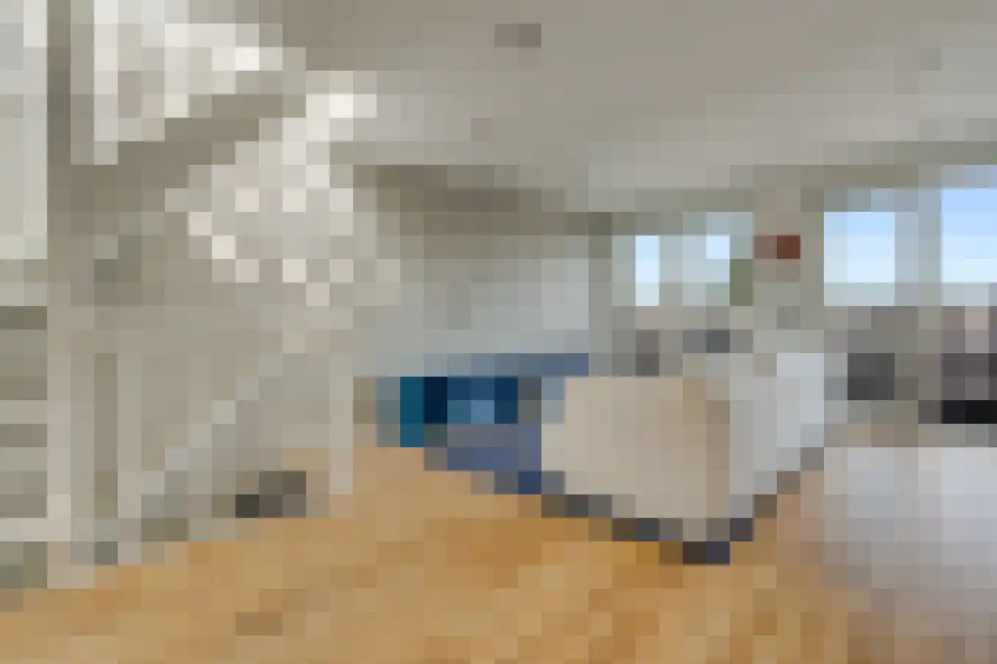 Lodewijk Boisotstraat 12 4 Amsterdam thumbnail 7