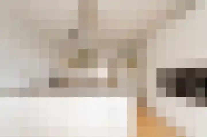 Lodewijk Boisotstraat 2 2 Amsterdam thumbnail 25