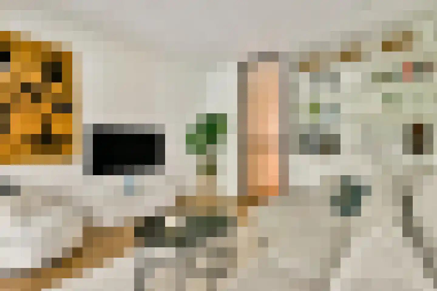 Lodewijk Boisotstraat 6 3 Amsterdam thumbnail 6