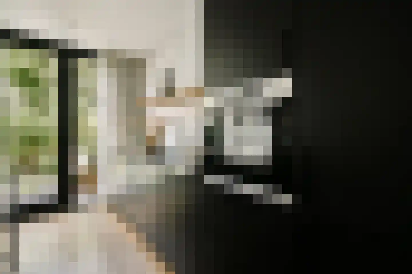Lodewijk Boisotstraat 6 3 Amsterdam thumbnail 9