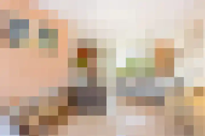 Lodewijk de Vromestraat 25 Wijk bij Duurstede thumbnail 13
