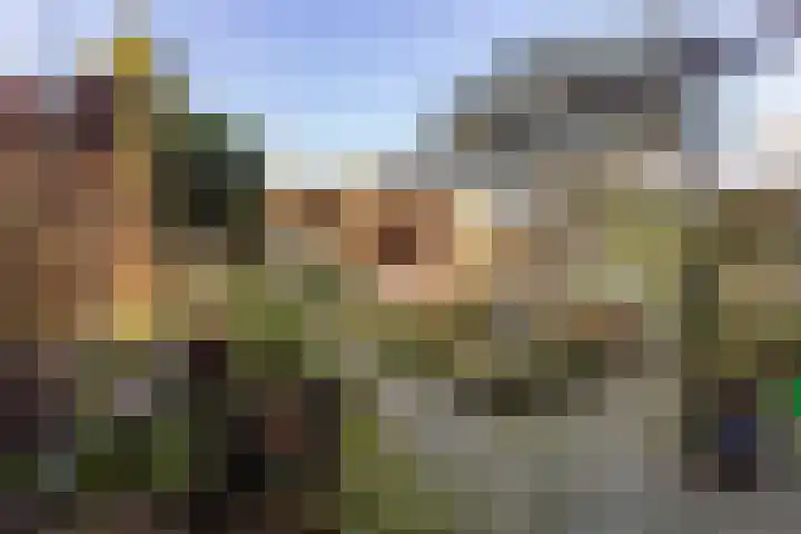 Lodewijk de Vromestraat 25 Wijk bij Duurstede thumbnail 18