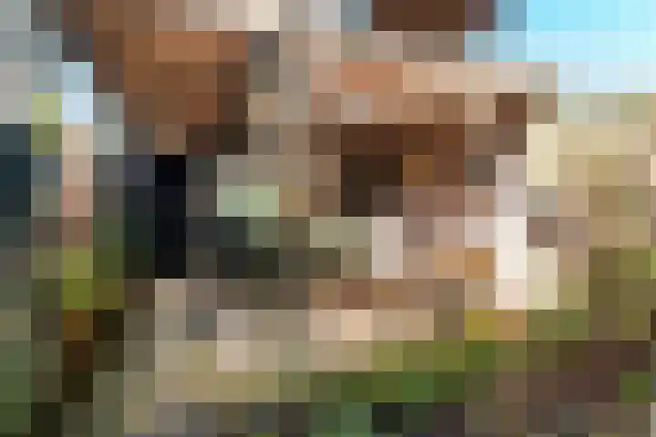 Lodewijk de Vromestraat 25 Wijk bij Duurstede thumbnail 22
