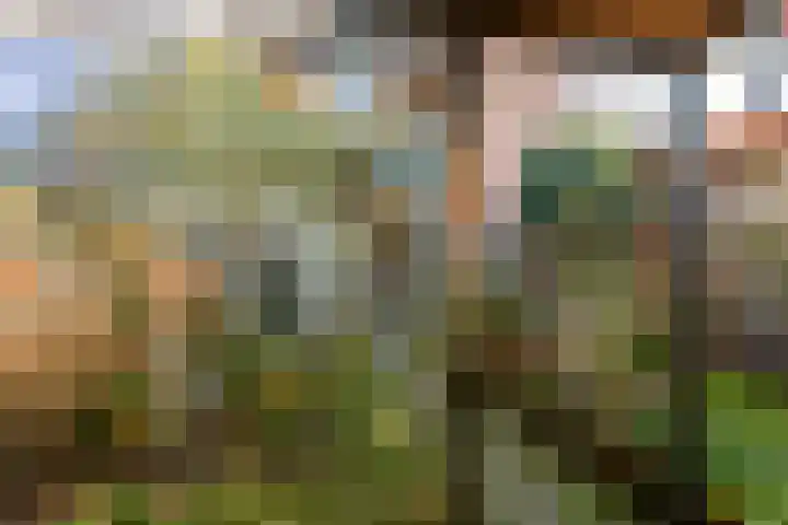 Lodewijk de Vromestraat 25 Wijk bij Duurstede thumbnail 23