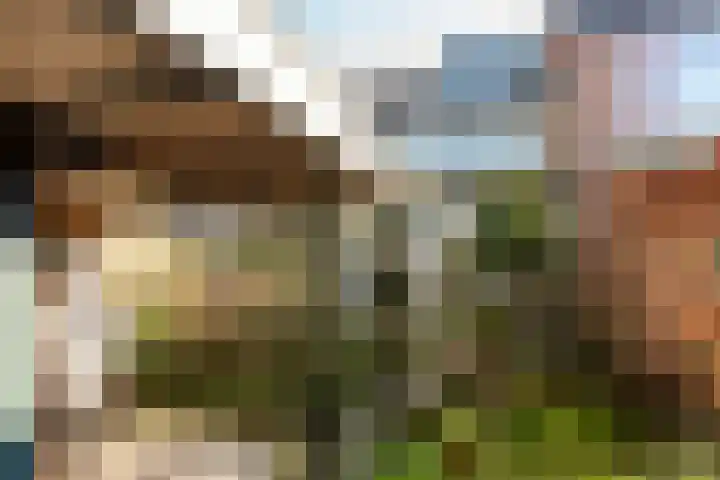Lodewijk de Vromestraat 25 Wijk bij Duurstede thumbnail 24