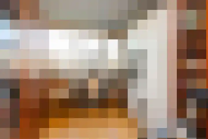 Lodewijk de Vromestraat 25 Wijk bij Duurstede thumbnail 26