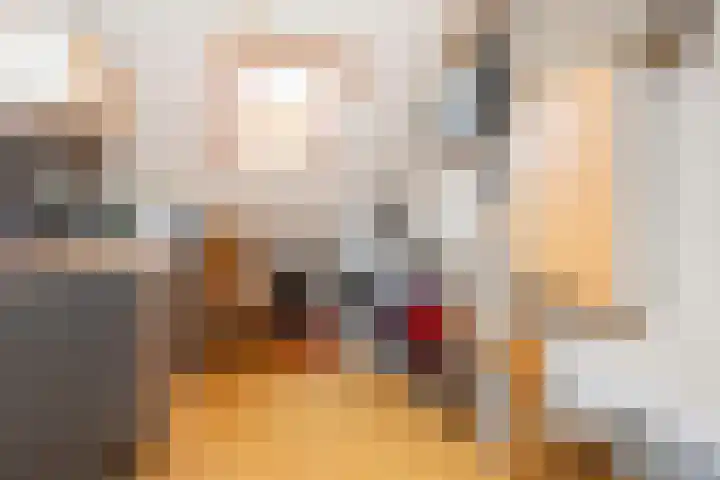 Lodewijk de Vromestraat 25 Wijk bij Duurstede thumbnail 36
