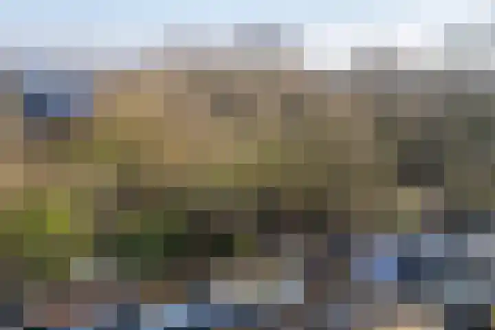 Lodewijk de Vromestraat 25 Wijk bij Duurstede thumbnail 42