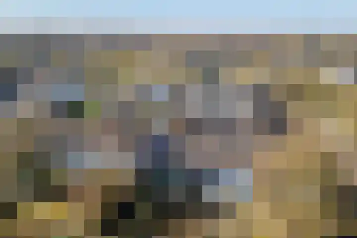 Lodewijk de Vromestraat 25 Wijk bij Duurstede thumbnail 43