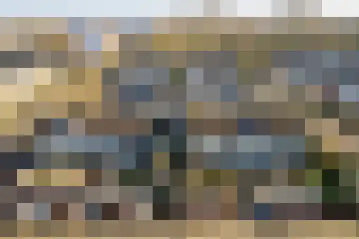 Lodewijk de Vromestraat 25 Wijk bij Duurstede thumbnail 45