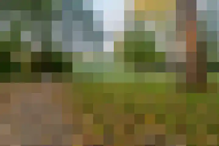 Lodewijk de Vromestraat 25 Wijk bij Duurstede thumbnail 48