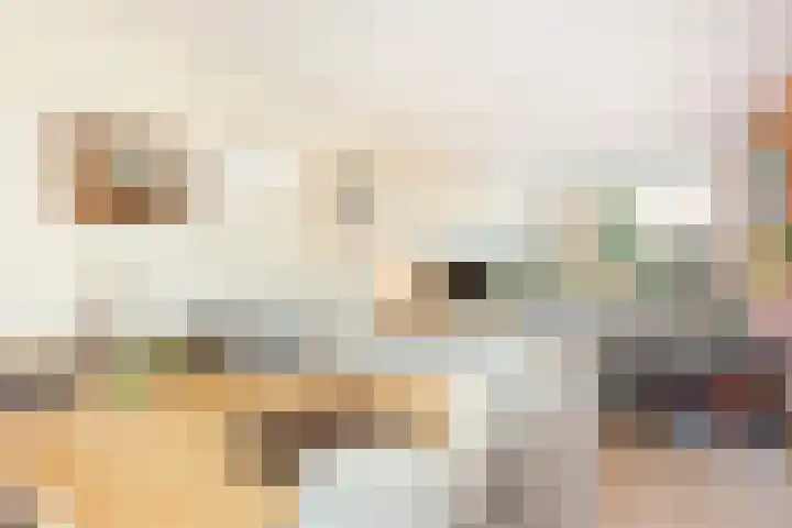 Lodewijk de Vromestraat 25 Wijk bij Duurstede thumbnail 6