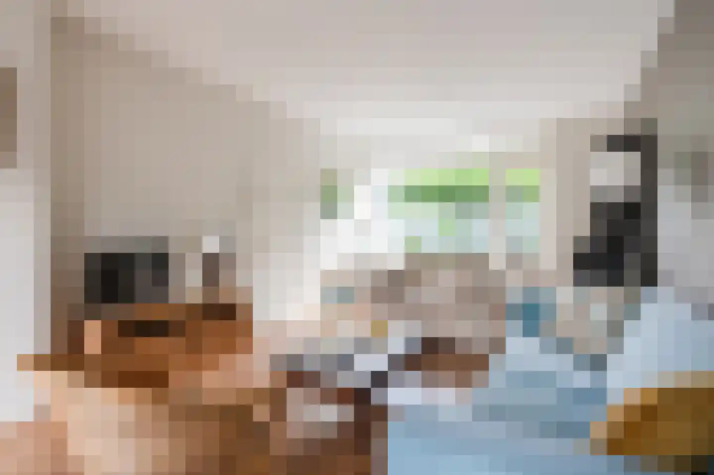 Lodewijk de Vromestraat 9 Wijk bij Duurstede thumbnail 10