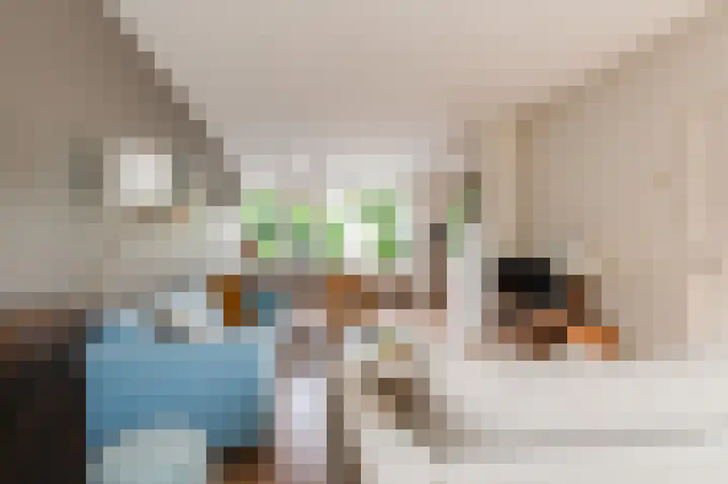 Lodewijk de Vromestraat 9 Wijk bij Duurstede thumbnail 11
