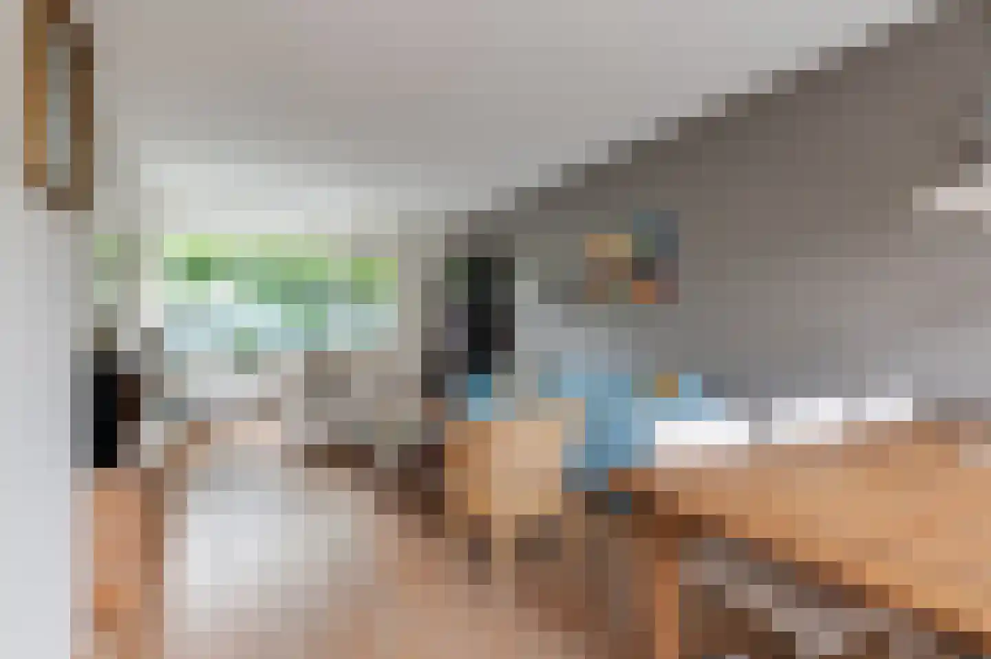 Lodewijk de Vromestraat 9 Wijk bij Duurstede thumbnail 12