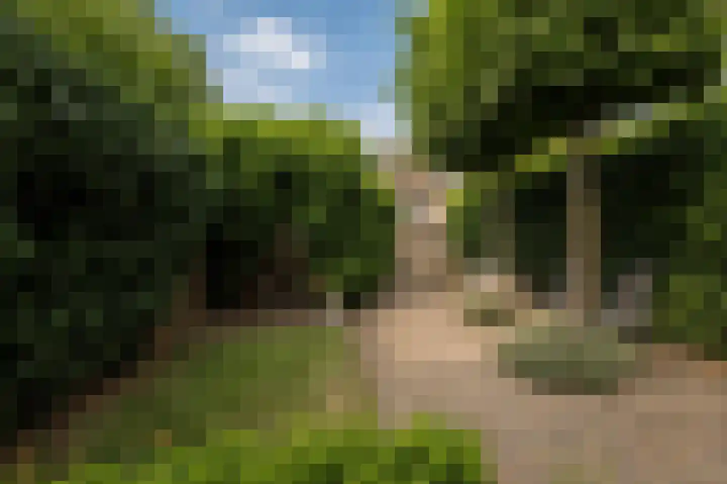 Lodewijk de Vromestraat 9 Wijk bij Duurstede thumbnail 21