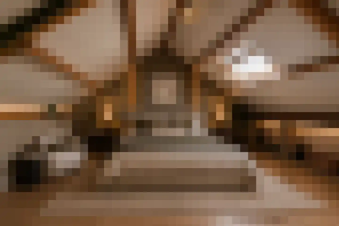 Lodewijk de Vromestraat 9 Wijk bij Duurstede thumbnail 31