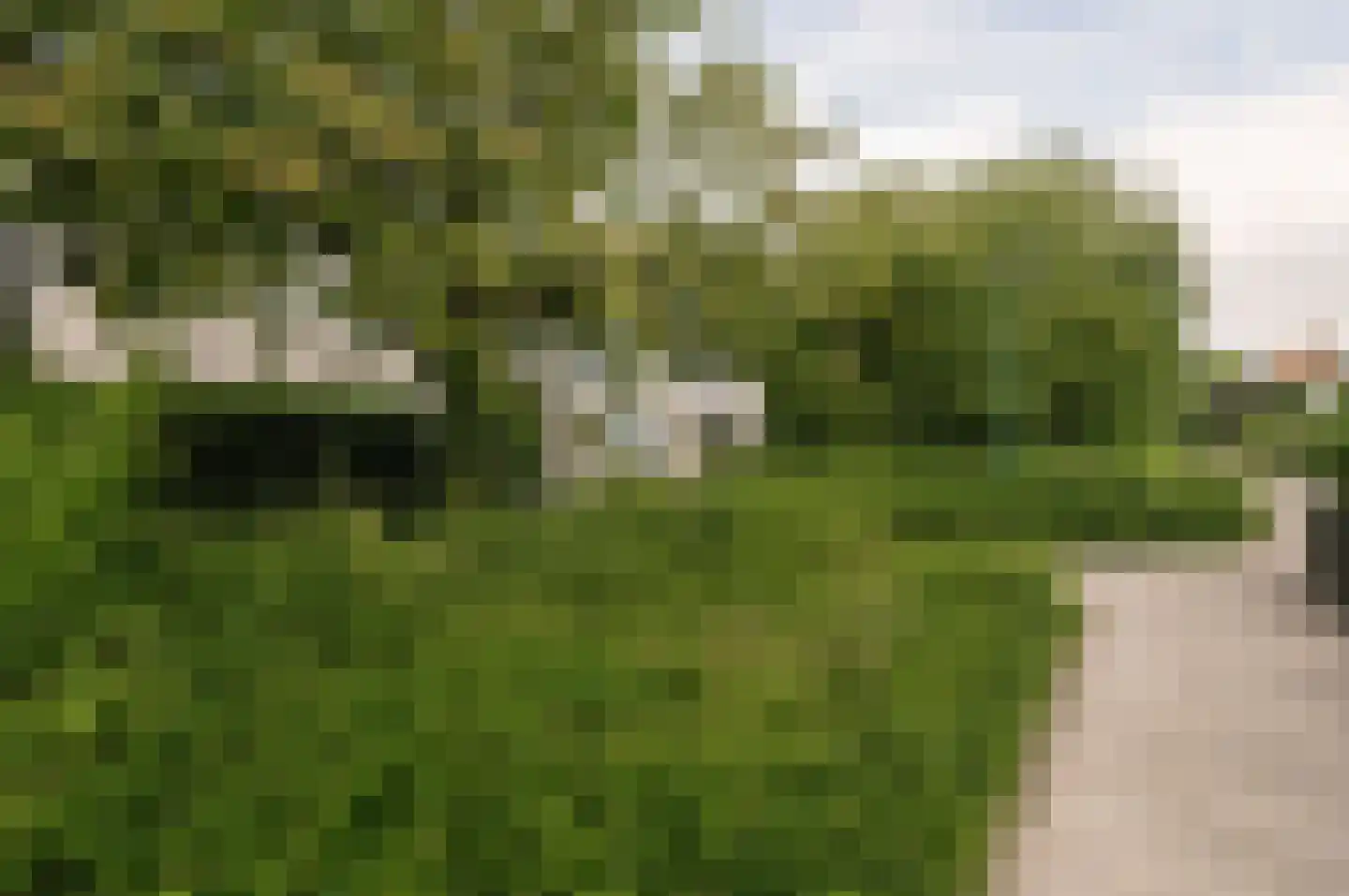 Lodewijk de Vromestraat 9 Wijk bij Duurstede thumbnail 32