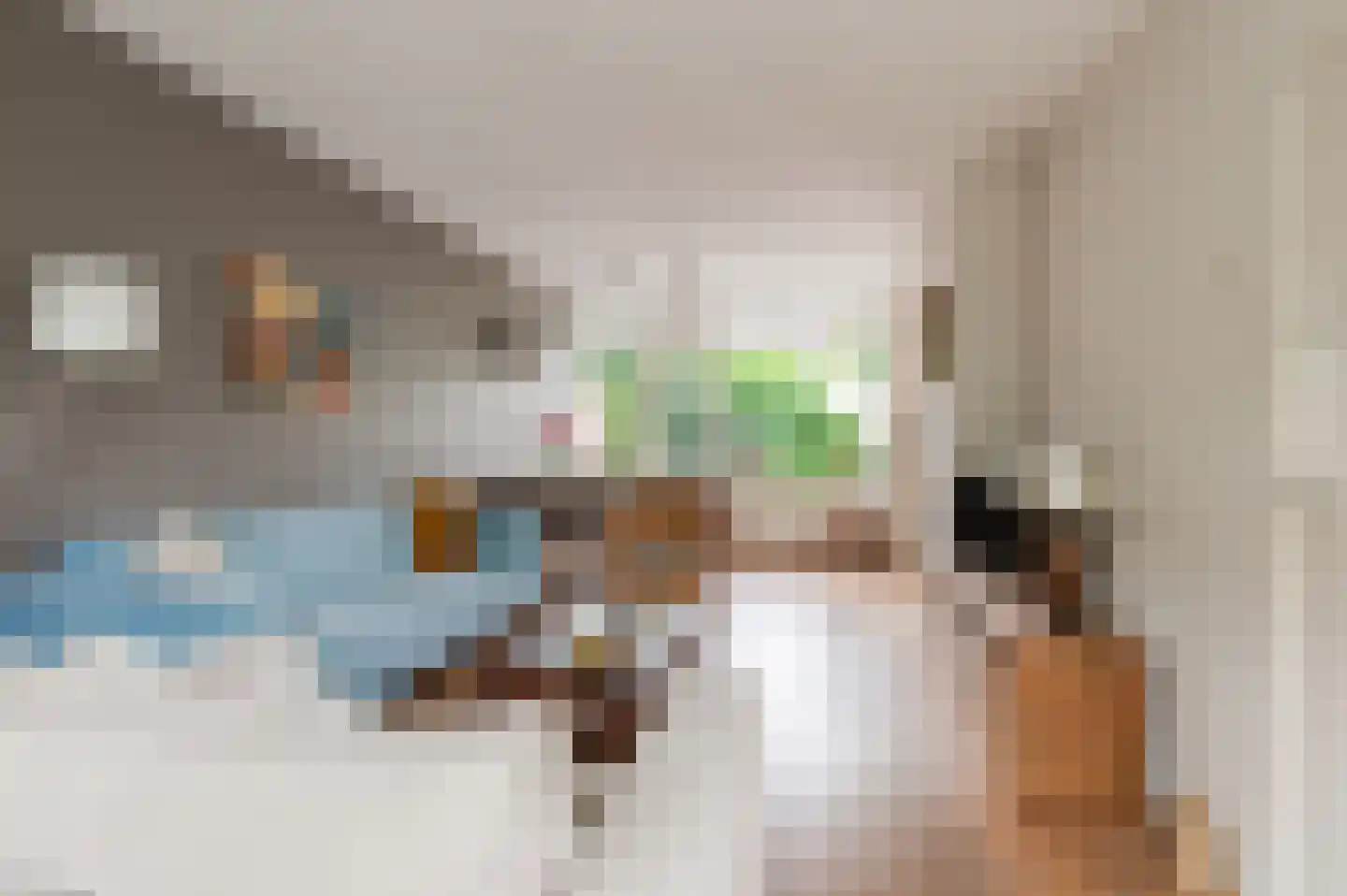 Lodewijk de Vromestraat 9 Wijk bij Duurstede thumbnail 8