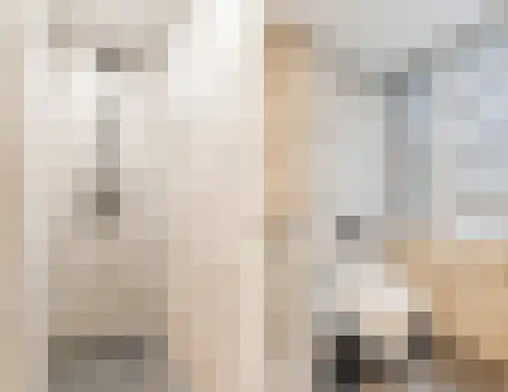 Lodewijk Napoleonlaan 101 Oosterhout thumbnail 18
