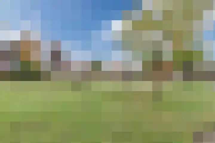 Lodewijk Napoleonlaan 101 Oosterhout thumbnail 31