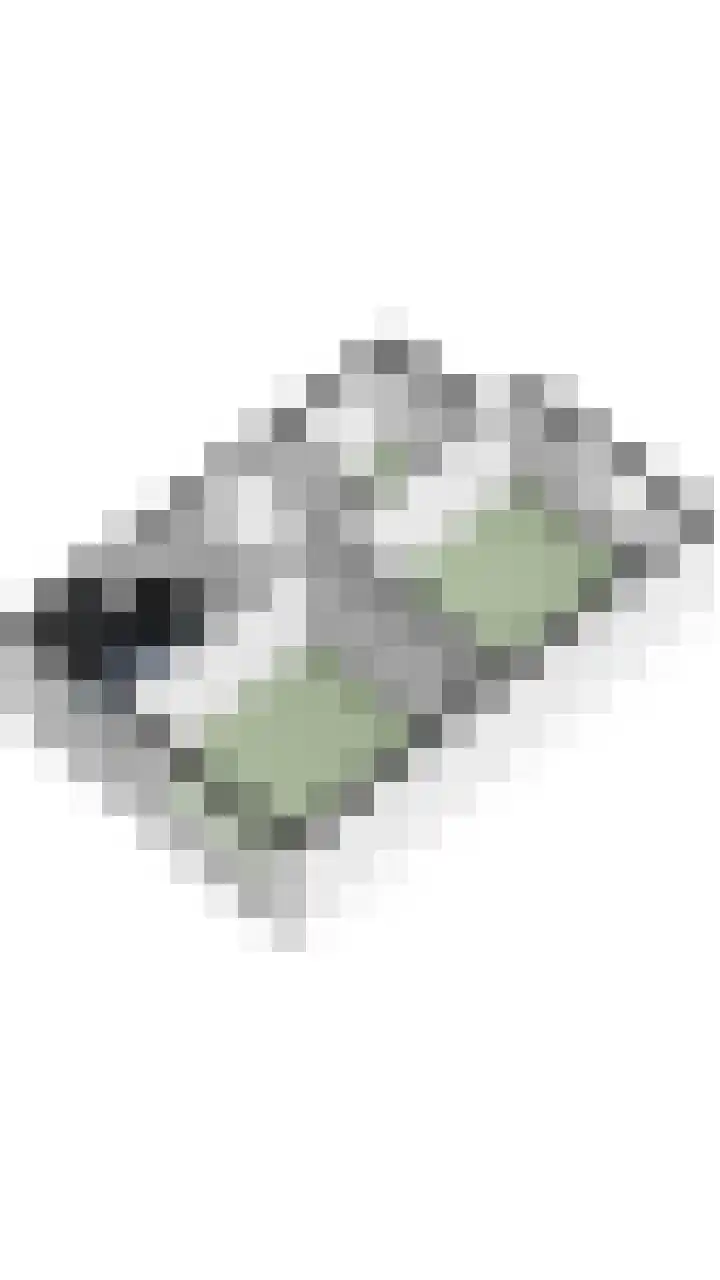 Lodewijk Napoleonlaan 101 Oosterhout thumbnail 39