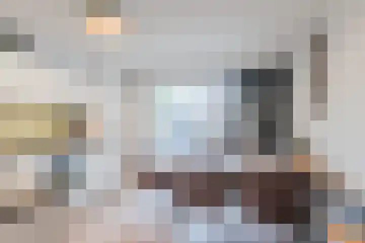 Lodewijk Napoleonlaan 101 Oosterhout thumbnail 5
