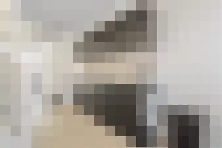 Lodewijk Napoleonlaan 31 A Eindhoven thumbnail 15