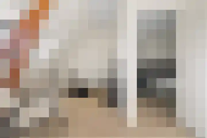 Lodewijk Napoleonlaan 31 A Eindhoven thumbnail 26