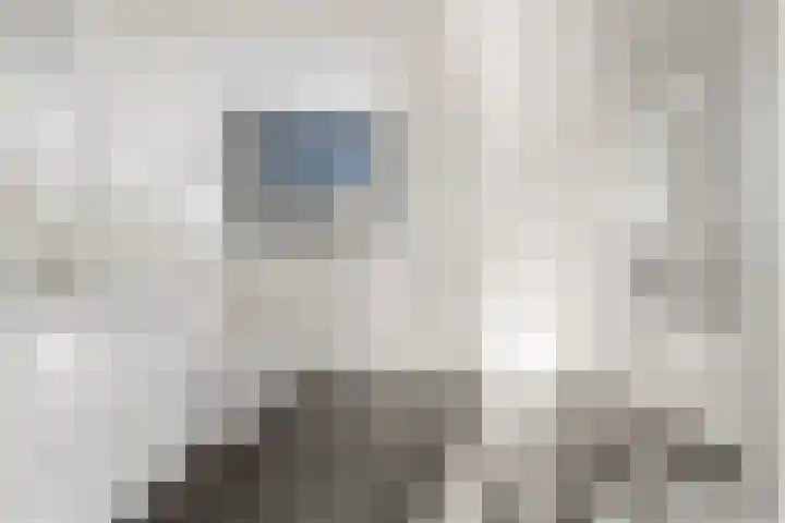 Lodewijk Napoleonlaan 31 A Eindhoven thumbnail 31