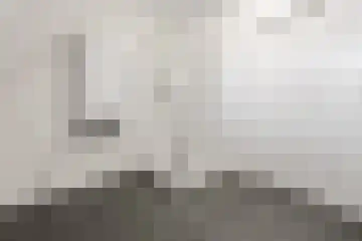 Lodewijk Napoleonlaan 31 A Eindhoven thumbnail 33