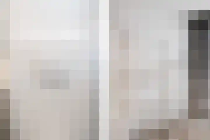 Lodewijk Napoleonlaan 31 A Eindhoven thumbnail 37