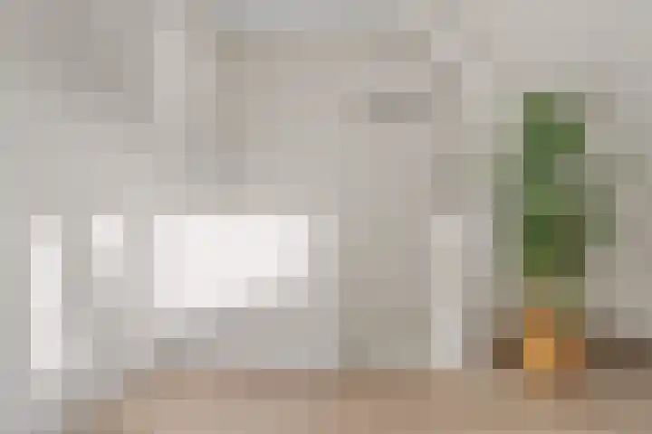 Lodewijk Napoleonlaan 31 A Eindhoven thumbnail 39