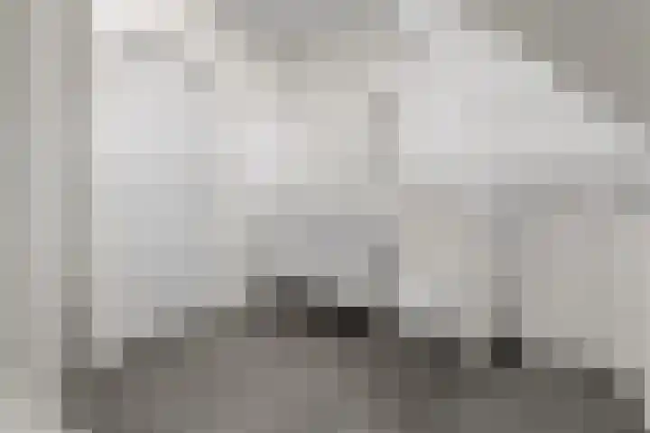 Lodewijk Napoleonlaan 31 A Eindhoven thumbnail 5