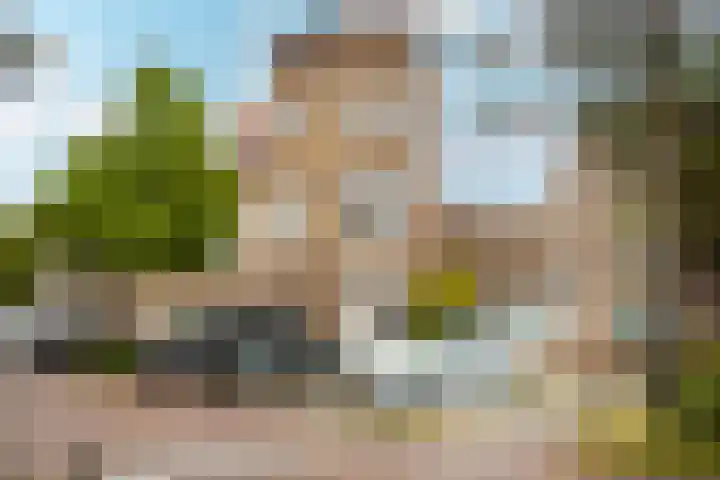 Lodewijk Napoleonlaan 31 A Eindhoven thumbnail 7