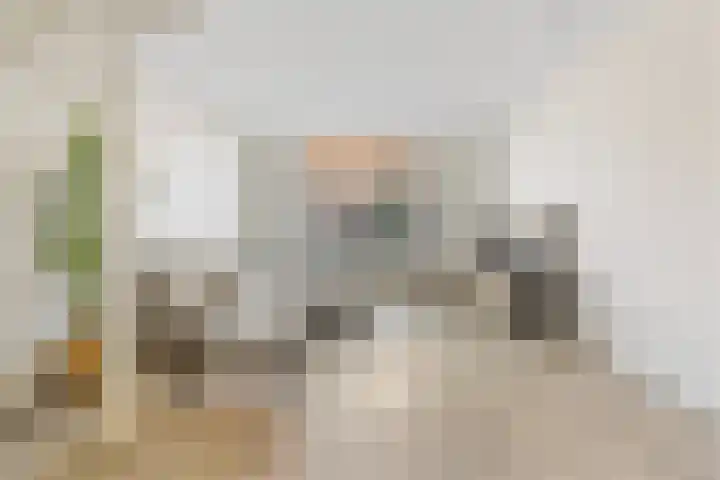 Lodewijk Napoleonlaan 31 Eindhoven thumbnail 10