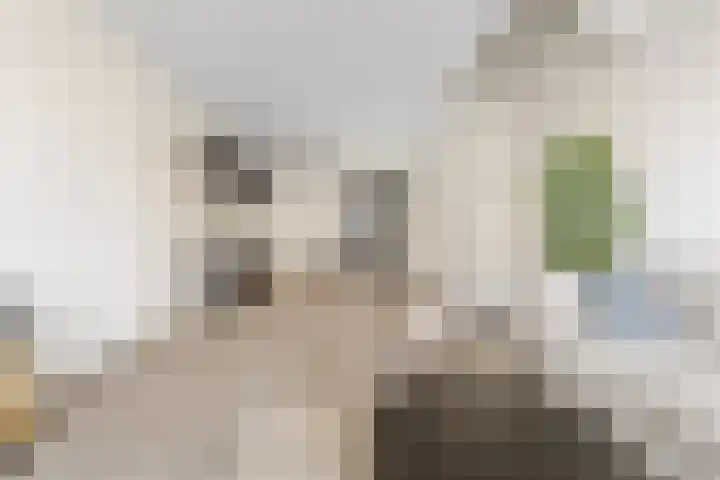 Lodewijk Napoleonlaan 31 Eindhoven thumbnail 11