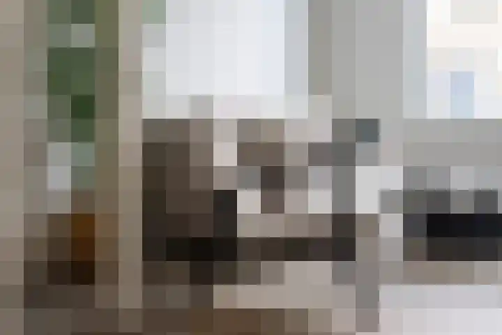 Lodewijk Napoleonlaan 31 Eindhoven thumbnail 12