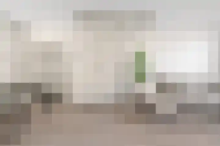 Lodewijk Napoleonlaan 31 Eindhoven thumbnail 15