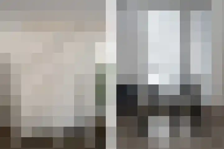 Lodewijk Napoleonlaan 31 Eindhoven thumbnail 17