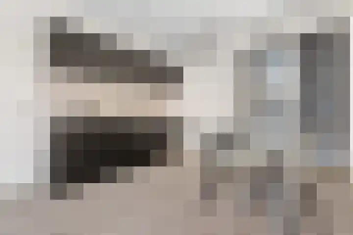 Lodewijk Napoleonlaan 31 Eindhoven thumbnail 18