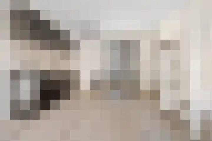 Lodewijk Napoleonlaan 31 Eindhoven thumbnail 19