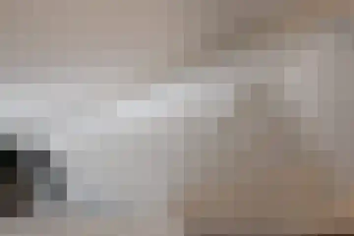 Lodewijk Napoleonlaan 31 Eindhoven thumbnail 22