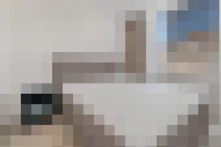 Lodewijk Napoleonlaan 31 Eindhoven thumbnail 27