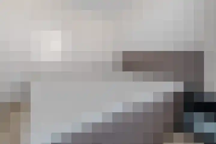 Lodewijk Napoleonlaan 31 Eindhoven thumbnail 28