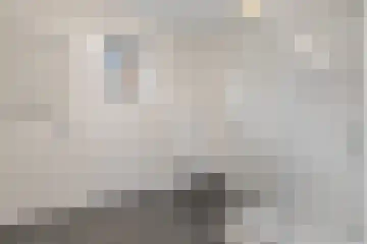 Lodewijk Napoleonlaan 31 Eindhoven thumbnail 30