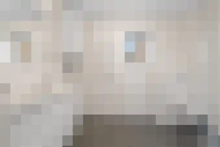 Lodewijk Napoleonlaan 31 Eindhoven thumbnail 31