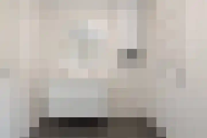 Lodewijk Napoleonlaan 31 Eindhoven thumbnail 32